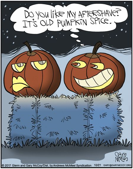 The Flying McCoys by Glenn McCoy and Gary McCoy for Oct 21, 2017 | Read Comic Strips at GoComics.com October Humor, Pumpkin Humor, Halloween Comic, Halloween Humor, Halloween Jokes, Samhain Halloween, Halloween Memes, Halloween Greetings, Halloween Quotes