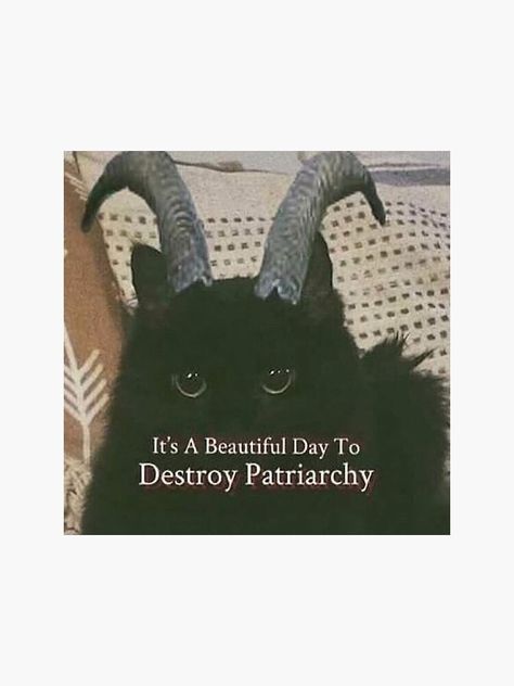 "it's a beautiful day to destroy the patriarchy" Sticker by mpayne22 | Redbubble Destroy Patriarchy, Destroy The Patriarchy, Adoption Photos, Y2k Stickers, Vertical Banner, Puppy Proofing, The Patriarchy, Cat Stands, Vertical Poster