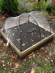 Spiral Garden, Bird Netting, Garden Netting, Diy Raised Garden, Veg Garden, Home Vegetable Garden, Vegetable Garden Design, Garden Bed, Garden Structures