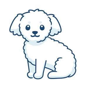 Maltese Dog Cartoon Illustration High Resolution Stock Photography and Images - Alamy Maltese Dog Illustration, White Fluffy Dog, Dog Drawing Simple, Cute Fluffy Dogs, Rabbit Silhouette, Puppy Drawing, Fluffy Puppies, Maltese Dog, Personalized Cards