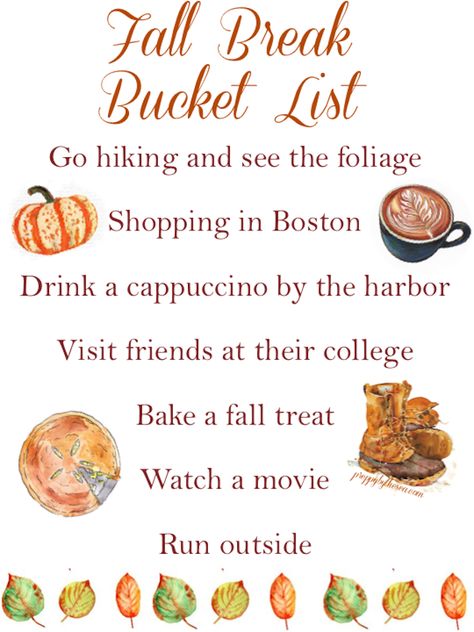 Preppy by the Sea: Fall Break Bucket List Thanksgiving Break, Fall Break, Fall Treats, Go Hiking, In Boston, By The Sea, Drawing For Kids, Happy Friday, The Sea