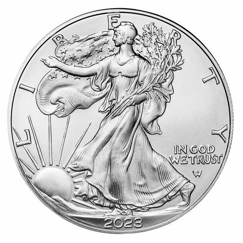 1 oz American Eagle Silver Coin, 20-count | Costco Laurel Branch, Monster Box, Eagle Coin, Eagle Design, Bullion Coins, Silver Eagle, Silver Bullion, Lady Liberty, Silver Eagles