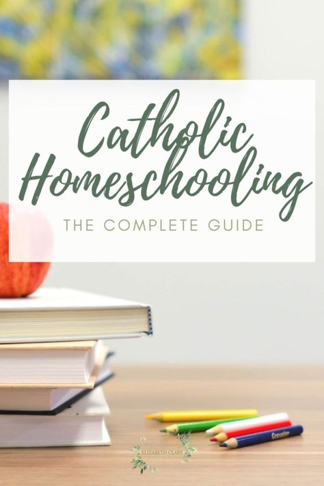 Catholic Homeschool Curriculum, Rooms Organization, Mother Of Divine Grace, Homeschool Family, Catholic Homeschool, Homeschool Books, Online Homeschool, Catholic Family, School Plan