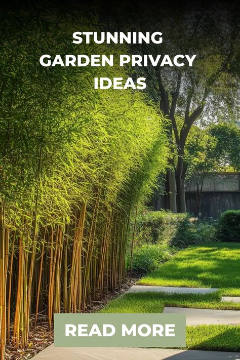 Stunning garden with tall bamboo providing privacy, neatly trimmed lawn, and a call-to-action button that reads "Read More". Bamboo Screening Ideas Outdoor Privacy, Ivy Fence Privacy Screens, Bamboo Privacy Fence Ideas, Privacy Screen With Plants, Outdoor Privacy Wall Ideas, Front Garden Privacy Ideas, Privacy Fence Ideas With Plants, Plant Privacy Wall, Privacy Plants Fence