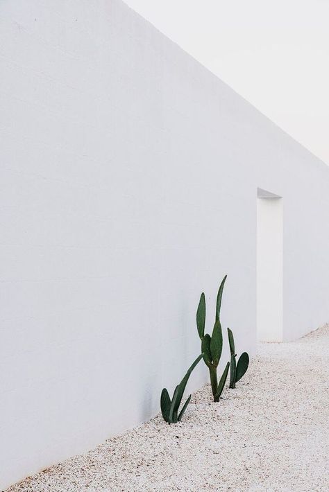 Masseria Moroseta, Stone Farmhouse, Minimalist Garden, Interior Minimalista, Italian Countryside, Casa Exterior, Accessories Gold, Style Instagram, Outfits Black