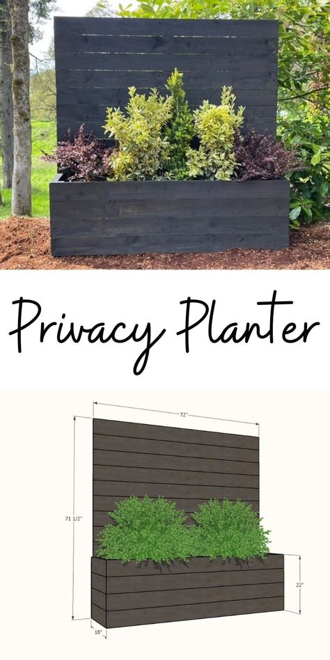 Gravel Backyard, Privacy Planter, Cedar Fence Pickets, Fence Pickets, Pool Backyard, Project Plan, Pea Gravel, Cedar Fence, Garden Wallpaper