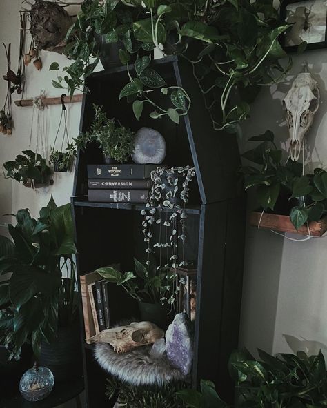 848 Likes, 21 Comments - ℜain (@gravedelight) on Instagram: “My husband surprised me with a sweet little golden pothos recently, I’ve named it Pothos Malone. It…” Slytherin Bedroom, Slytherin Room, Goth Houses, Gothic Decor Bedroom, Goth Bedroom, Gothic Room, Gothic Bedroom, Surprises For Husband, Dark Home Decor