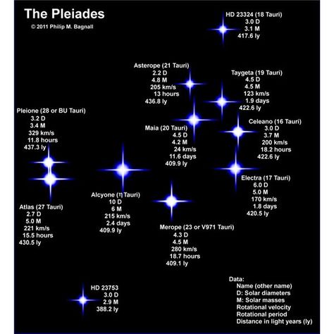 Pleiades Tattoo, Pleiades Constellation, The Pleiades, Space Facts, Space Frame, Constellation Tattoos, The Planets, Ancient Aliens, The Night Sky