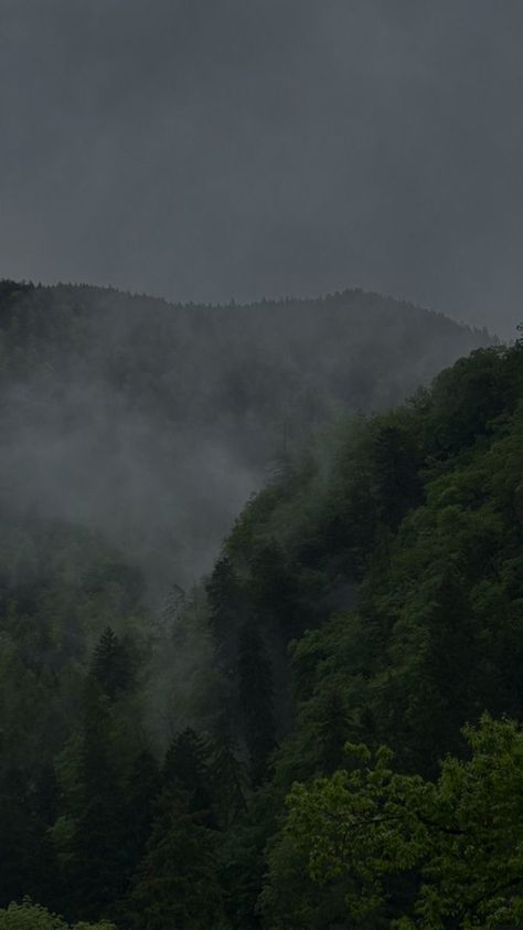 Foggy Mountains Aesthetic, Foggy Aesthetic Wallpaper, Foggy Mountain Aesthetic, Foggy Mountains Wallpaper, Mountains Aesthetic Wallpaper, Twilight Mountains, Phtalo Green, Mountain Aesthetic Wallpaper, Foggy Aesthetic