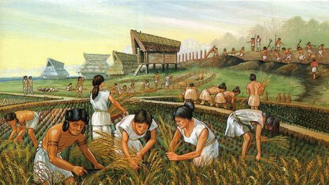 Rice revolution during Yayoi times Agricultural Revolution, Indus Valley Civilization, Korean Peninsula, Economic Systems, Kamakura, Mesopotamia, Illustration Artists, Ancient Greece, World History