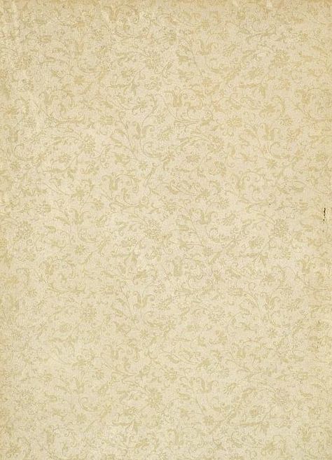 ◆ Bumble Button...  cream color, delicate floral design paper | inside cover Dollhouse Wall, Doll House Wallpaper, Paper Quilt, Victorian Books, Antique Dollhouse, Mini Stuff, Card Background, Altered Art Projects, Thai Art