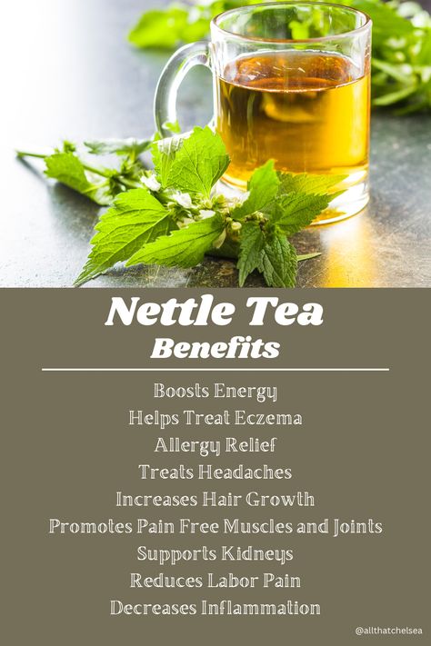 Stinging Nettle Tea Recipe, Nettle Tea Blend Recipe, Nettle Tea Benefits Hair, Stinging Nettle Tea Benefits, Nettles Aesthetic, Nettle Leaf Tea Benefits, Fit Body For Vision Board, Stinging Nettle Recipes, Nettle Tea Recipe