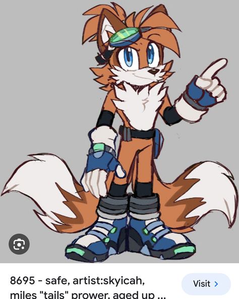 Sonic Redesign, Budgie Cage, Miles Tails Prower, Sonic Ocs, Cartoon Style Drawing, Sonic Oc, Shadow Sonic, Sonic Fanart, Crazy Art