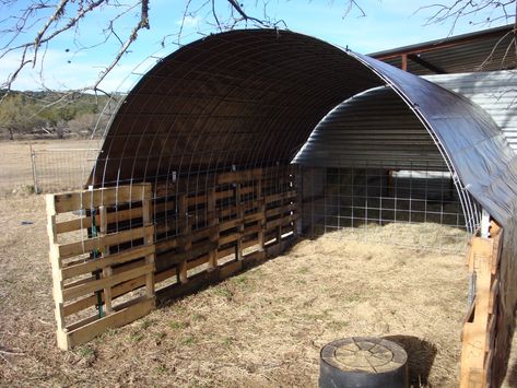 Llama Shelter, Sheep Shelter Ideas, Diy Sheep, Sheep Shelter, Sheep House, Sheep Pen, Goat Shed, Livestock Shelter, Goat Shelter