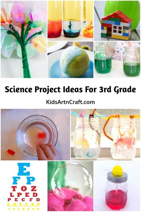 Science Project Ideas for 3rd Grade School Crafts 3rd Grade, Class 3 Science Project, Science Project For Grade 1, 3rd Grade Science Fair Projects Ideas, 3rd Grade Projects, 3rd Grade Science Fair Projects, Parachute Craft, Diy Parachute, Third Grade Science Projects