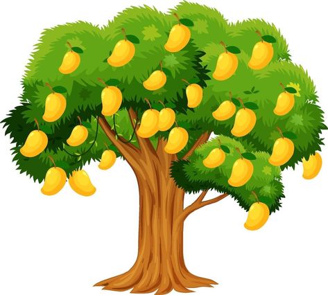 Mango Tree Images, Yellow Mango, Cartoon Trees, Tree Clipart, Mango Tree, Tree Artwork, Lord Ganesha Paintings, Tree Stickers, Tree Images