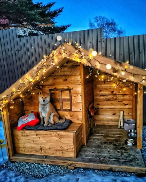 Reusing Pallets, Sheepadoodle Grooming, Xl Dog House, Cat Room Decor, Backyard Getaway, Dog Kennels, Cat Ideas, Backyard Inspo, Dog Hacks