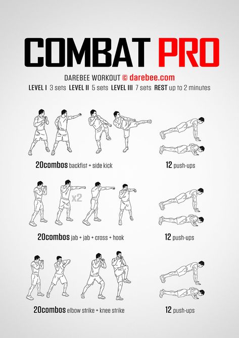 Combat Pro workout Combat Workout, Karate Workout, Army Workout Women, Assassins Workout, Special Forces Workout, Darbee Workout, Full Back Workout, Boxing Training Workout, Fighter Workout