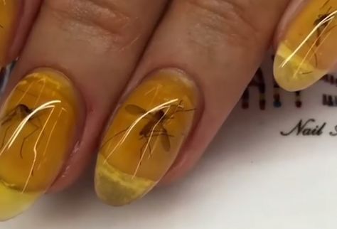 Video: The Latest in Bug Nail Fashion… - Ento Nation Beetle Nail Art, Bug Nails, White Nails, Fashion Nails, Bugs, Creative Design, Insects, Nail Designs, Nail Art