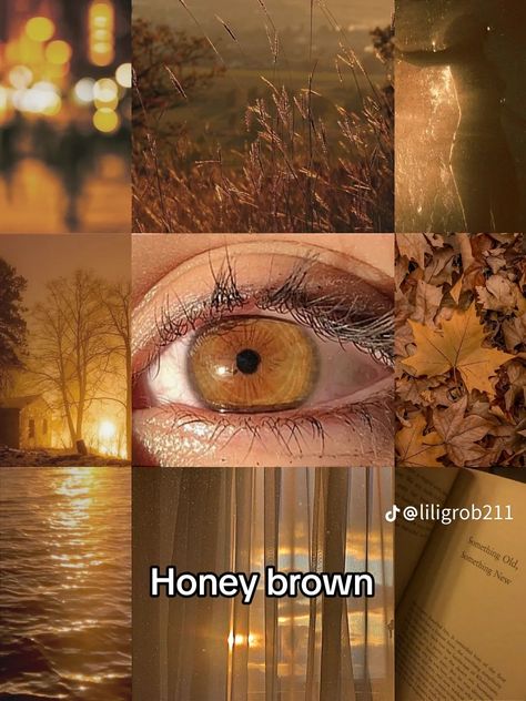 Honey Eyes Aesthetic, Honey Brown Eyes Aesthetic, Honey Colored Eyes, Eye Claim, Honey Eyes Color, Honey Brown Eyes, Pretty Eyes Color, Light Bringer, Honey Eyes