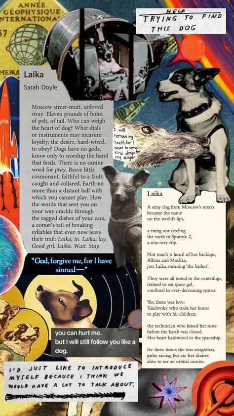 Laika the space dog collage Laika Dog, Dog Collage, Dog Poetry, You Deserve The World, Space Dog, Very Inspirational Quotes, Look At The Stars, Patron Saints, Story Writing