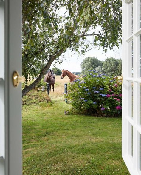 Aesthetic Garden Ideas, Garden Aesthetics, Cottage Aesthetic, Farm Lifestyle, Aesthetic Garden, Garden Aesthetic, Have Inspiration, Equestrian Life, Horse Farms