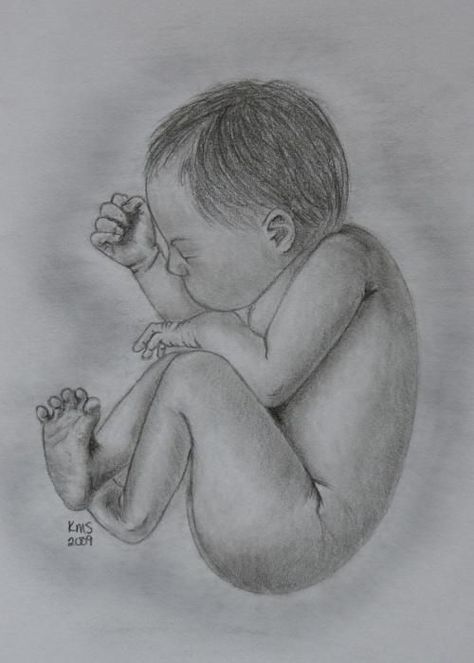 Pregnancy Drawing, Birth Art, In Utero, Joy Baby, Pregnancy Art, Jesus Drawings, Sketching Tips, Mother Art, Baby Illustration