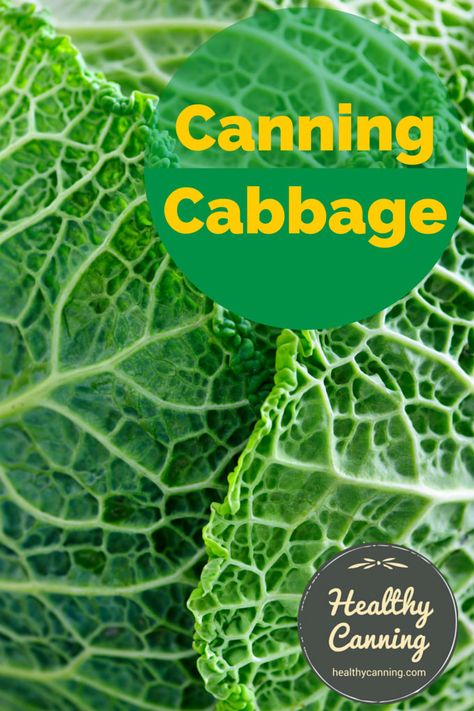 Canning Cabbage Pressure, Pressure Canning Cabbage, Canning Cabbage Water Bath, Preserving Cabbage, Canning Cabbage Recipes, Freezing Cabbage, Canning Cabbage, Preserving Peppers, Canning Potatoes