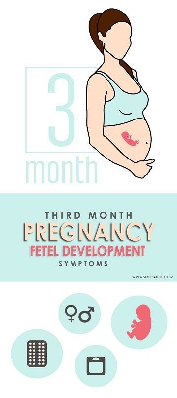 3rd Month Pregnancy, Exercises For Love Handles, 3 Months Pregnant, Reduce Love Handles, Pregnant Symptoms, Fetal Development, Diet Chart, Maintain Weight, Pregnancy Months