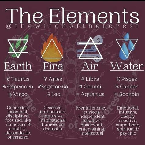 Leo And Aquarius, Elemental Magic, Elemental Powers, Witch Spirituality, Magic Spell Book, The Wasp, Element Symbols, Birth Chart Astrology, Wiccan Spell Book