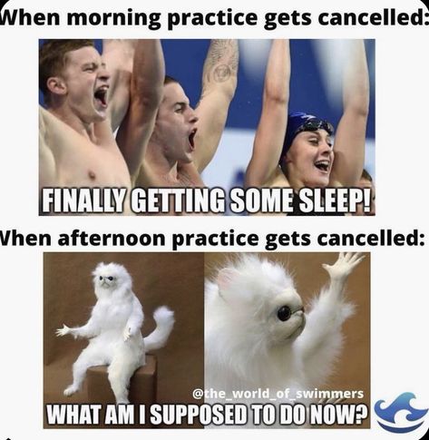 Swim Funny Humor, Swim Team Memes Funny, Swimming Memes Funny, Swim Jokes, Swimming Quotes Funny, Swim Problems, Swimmer Memes, Swimmer Quotes, Swim Quotes