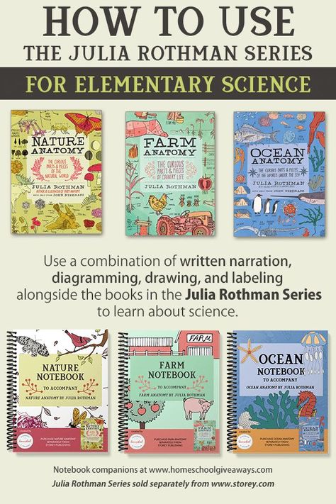 Jun 24, 2020 - Our notebook companions use a combination of written narration, diagramming, drawing, and labeling alongside the books in the Julia Rothman series. Julia Rothman Curriculum, Julia Rothman, Homeschool Nature Study, Homeschool Nature, Charlotte Mason Homeschool, Homeschool Books, Nature School, Homeschool Education, Homeschool Inspiration