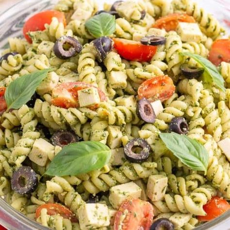 Stuffed Shells Alfredo, Lentils Dinner, Oil Free Pesto, Vegan Pesto Pasta Salad, Chicken Pesto Pasta Salad, Quick Easy Vegan Recipes, Vegan Pesto Pasta, Chicken Pesto Pasta, Vegan Comfort Food Recipes