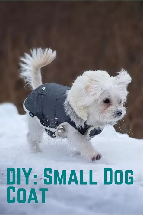 How To Make Small Dog Clothes, Dog Coat Patterns Free Sewing, Knitted Small Dog Coat Pattern Free, Dog Winter Coat Pattern Free, Dog Jacket Pattern Free Winter Coats, Small Dog Winter Coat, Quilted Dog Coat Pattern, Small Dog Coats Patterns Free, Small Dog Sewing Patterns