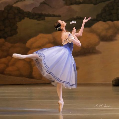 Mariinsky Ballet, Ballet Wallpaper, Ballerina Barbie, Ballet Pictures, Mikhail Baryshnikov, Ballet Poses, Russian Ballet, Ballet Clothes, Ballet Photos