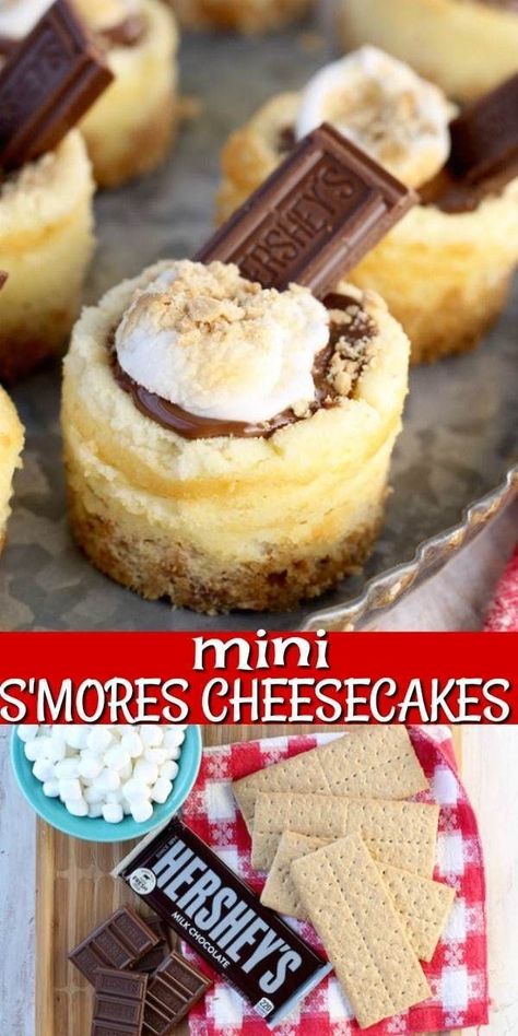 Bbq Desserts, Best Cheesecake, Easy Cheesecake, S'mores, Mini Cheesecakes, Summer Dessert, Party Desserts, Easy Dessert, Best Dessert Recipes