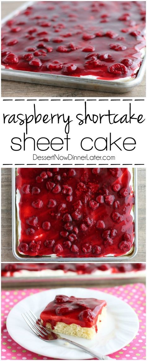 This EASY and delicious Raspberry Shortcake Sheet Cake is layered with light, fluffy white cake, topped with whipped cream cheese frosting and a fresh raspberry glaze! Perfect for parties, potlucks, or a Valentine's Day dessert! Shortcake Sheet Cake, Fluffy White Cake, Raspberry Shortcake, Raspberry Glaze, Whipped Cream Cheese Frosting, Potluck Desserts, Raspberry Recipes, Dessert Aux Fruits, Sheet Cake Recipes