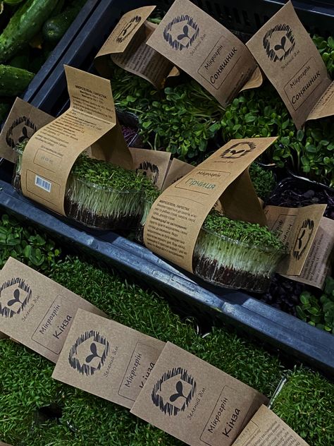 Microgreen Display, Microgreens Packaging Ideas, Microgreen Packaging, Microgreens Packaging, Farm Market Ideas, Microgreens Garden, Aqua Farm, Fruit And Veg Shop, Vegetable Packaging