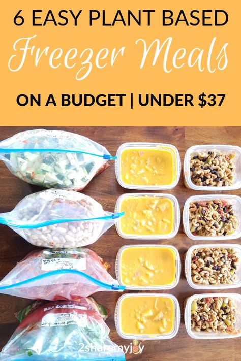 Healthy Freezer Meals, Plant Based Freezer Meals, Freezer Meals On A Budget, Vegan Freezer Meals, Crockpot Meal Prep, Vegetarian Freezer Meals, Budget Freezer Meals, Food Fails, Freezer Meal Prep