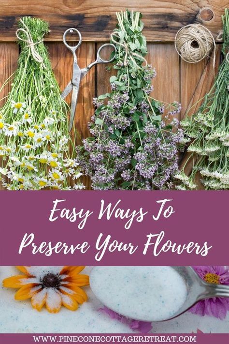 How To Dry Daisies, Dry Out Flowers Diy, How To Preserve Dried Flowers, How To Dry Flowers And Keep Color, Diy Dried Flowers Crafts, How To Dry Out Flowers, Dry Sunflowers, Drying Plants, Epoxy Flowers