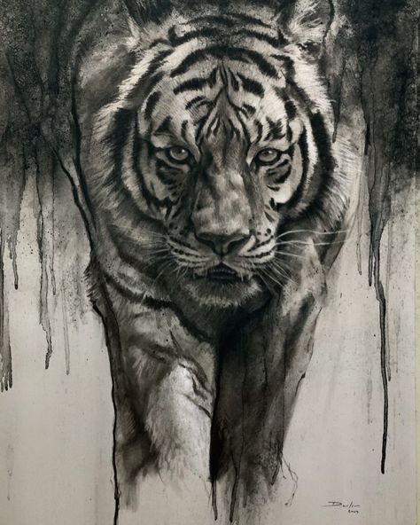 Daniel Wilson on Instagram: “Not done one of these charcoal drawings for a while so i thought I do one in my current theme of tigers. What do you prefer the coloured…” Drawings On Paper, The Predator, Brothers In Arms, Tiger Art, Wildlife Artists, Graphite Drawings, Gentle Giant, Charcoal Drawing, Wildlife Art