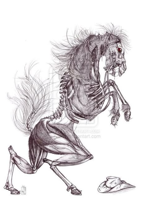 Skeleton horse Horror Horse Art, Scary Horse Art, Creepy Horse Art, Skeleton Horse Fantasy Art, Horse Skull Art, Skeleton Horse Art, Creepy Animal Drawings, Monster Sketch Dark, Horse Skeleton Drawing