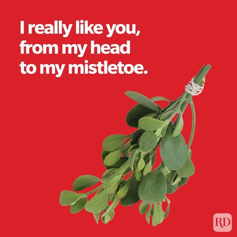 50 Christmas Pickup Lines That Will Land You a Kiss Under the Mistletoe Christmas Pickup Lines, Christmas Pick Up Lines, Short Jokes For Kids, Space Puns, Kiss Under The Mistletoe, Funny Christmas Jokes, Christmas Gift Themes, Cheesy Lines, Romantic Notes