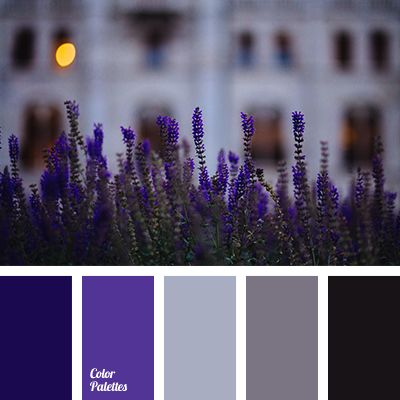 In this gamma shades of dark blue, gray-blue and purple-black create an atmosphere of twilight, diffused light. This is the palette of a winter evening. Th. Violet Color Palette, Flat Bedroom, In Color Balance, Winter Wedding Color Palette, Shades Of Dark Blue, Seeds Color, Color Palette Ideas, Purple Color Palettes, Shades Of Violet