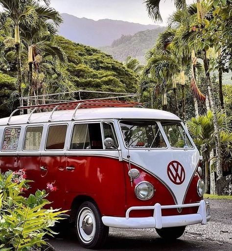 Vintage Volkswagen Bus, Mazda Bongo, Vw Bus T1, Camper Art, Volkswagen Vans, Vintage Vw Bus, Combi Volkswagen, Combi Vw, Vintage Volkswagen