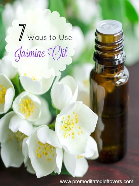 7 Ways to Use Jasmine Essential Oil- Jasmine essential oil has a sweet, floral scent. Here are 7 ways you can use it in your beauty and household routines. Hot Flashes Essential Oils, Low Energy Remedies, Neroli Essential Oil, Jasmine Essential Oil, Jasmine Oil, Essential Oil Benefits, Essential Oil Roller, Oil Benefits, Best Essential Oils