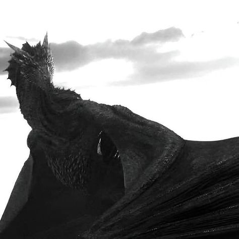 Charcoal Dragon Drawings, Nordic Dragon, Daena Targaryen, Queen Of Dragons, Game Of Thrones Dragons, Got Dragons, Targaryen Art, Cocoppa Wallpaper, Targaryen Aesthetic