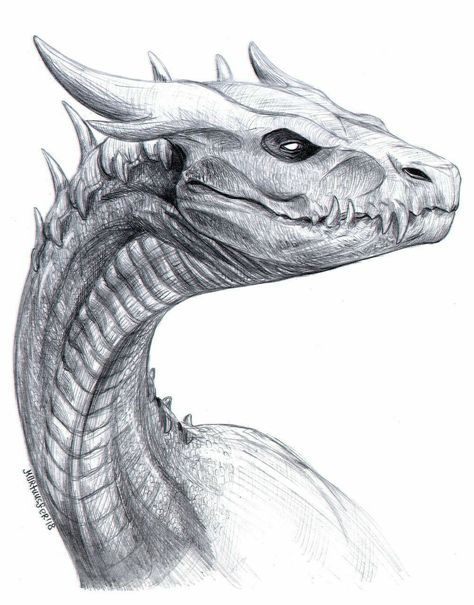 Dragon Sketch, Fantasy Drawings, Creature Drawings, Fantasy Creatures Art, Dragon Artwork, Dragon Head, Mythical Creatures Art, Dragon Drawing, Creature Concept Art