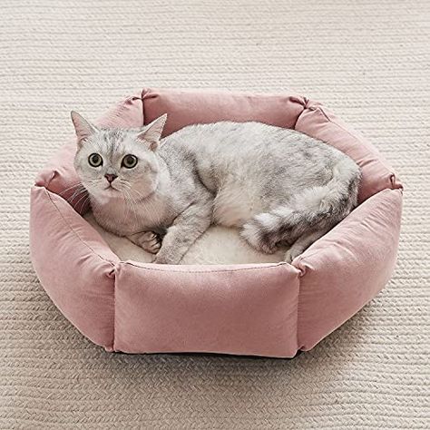 Kitten Bed, Kitten Beds, Cat House Diy, Fluffy Bedding, Cat Store, Pet Cushions, Indoor Cats, Calm Dogs, Cat Beds