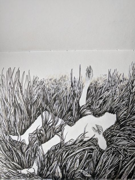 Tall grasses Ink & graphite Efoxillustration.com Graphite Texture Drawing, Grass Ink Drawing, Grass Pen Drawing, Grass Line Art, Tall Grass Drawing, Grass Sketch, Cocktails Drawing, Grass Drawing, Tall Grasses